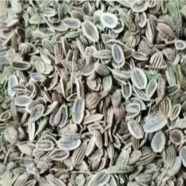 二零二一纯新秄，精品防风秄，防风条子，批发