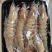 天海海虾，船冻，花虾白虾，13-16条和7-10条/斤