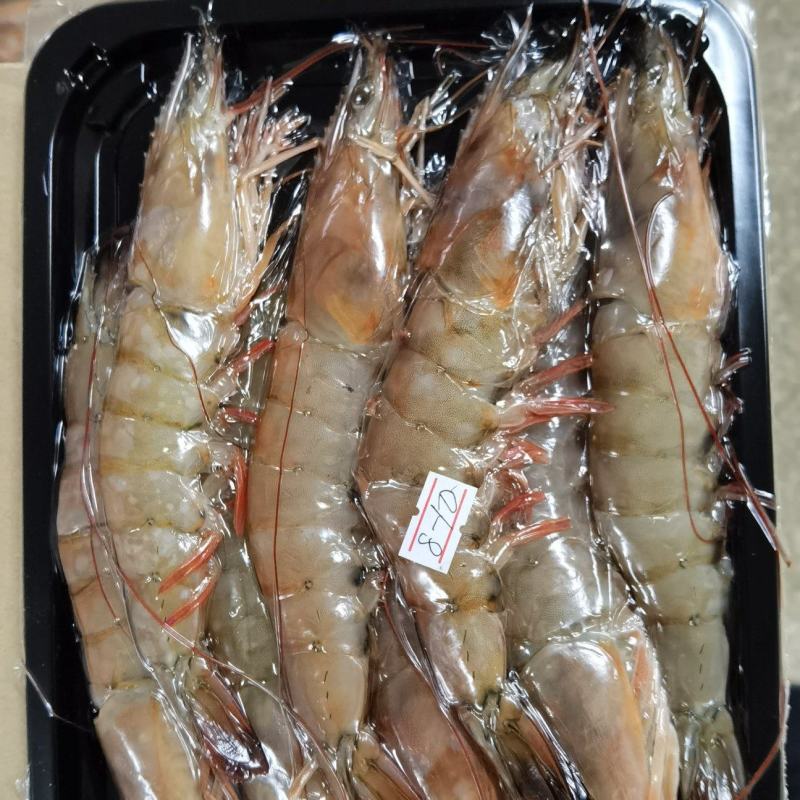 天海海虾，船冻，花虾白虾，13-16条和7-10条/斤