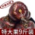 安徽新鲜毛马蹄荸荠应季现挖对接优质批发商