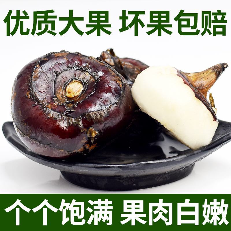 现挖安徽本地毛马蹄，脆甜无渣，坏果包赔，大量优质货源