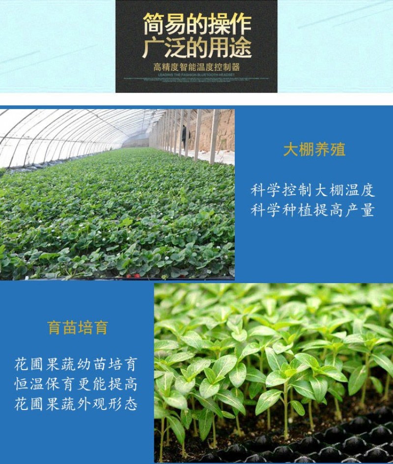 智能温度报警器养殖孵化高温低温温度报警仪表上下限可调