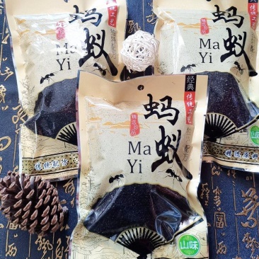黑马蚁，又叫拟黑多刺蚁、鼎突多刺蚁、双齿多刺蚁