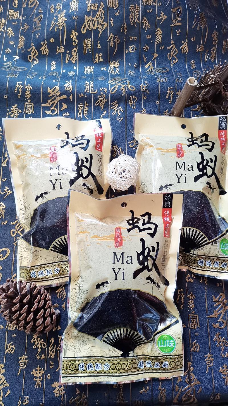 黑马蚁，又叫拟黑多刺蚁、鼎突多刺蚁、双齿多刺蚁