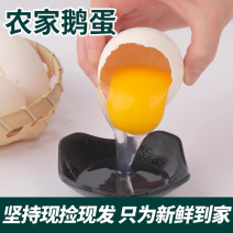 初生鹅蛋农家散养鹅蛋现捡现发欢迎进店咨询采购
