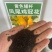 凤尾鸡冠花种子鸡冠花种子扇状鸡冠花种子景观绿化种植