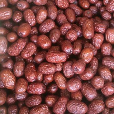 新疆灰枣品质保证大量上市批发商超电商供货不包含运费