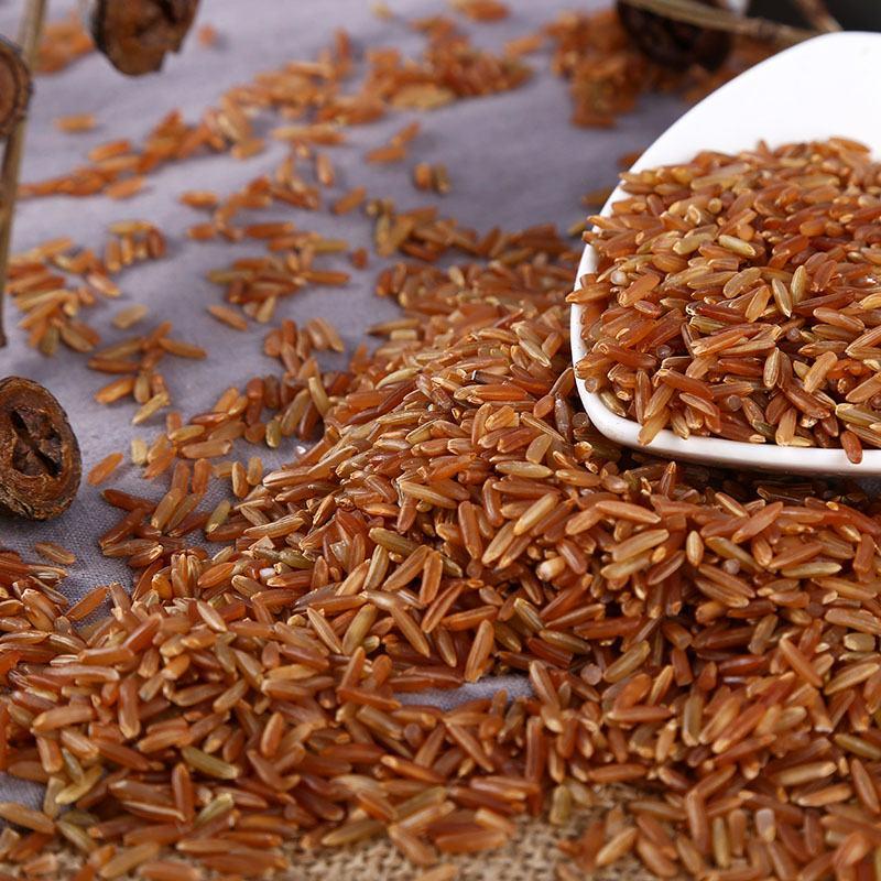 批发长粒红大米供应红米农家红粳米红稻米五谷杂粮红三色糙米