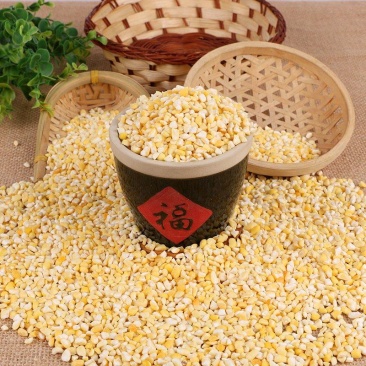 批发东北黄粘玉米渣大粒粘玉米碴子玉米碎大碴粥原料黏玉米碴