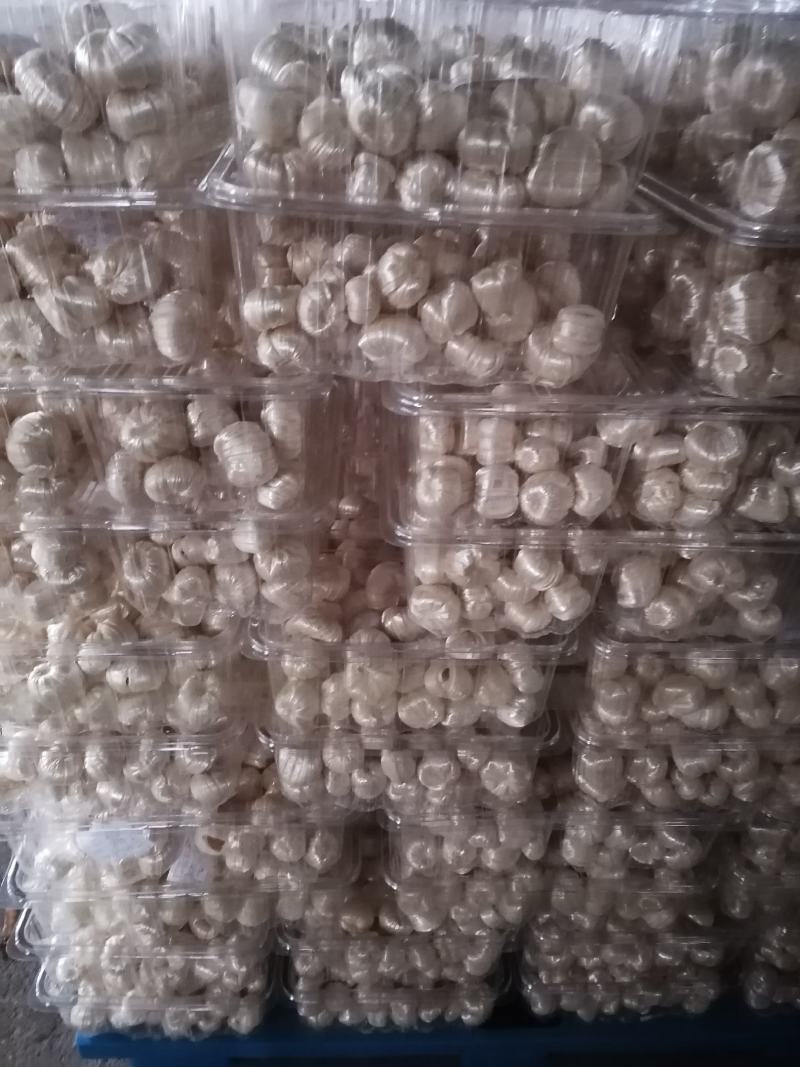 芝麻糖，厂家发货，一手货源，质量保证，欢迎联系