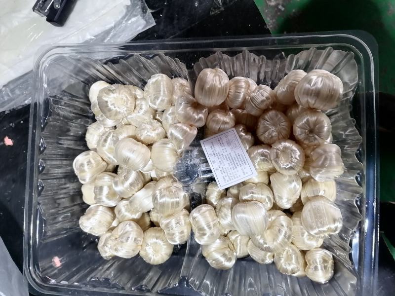芝麻糖，厂家发货，一手货源，质量保证，欢迎联系