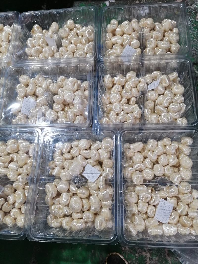 芝麻糖，厂家发货，一手货源，质量保证，欢迎联系
