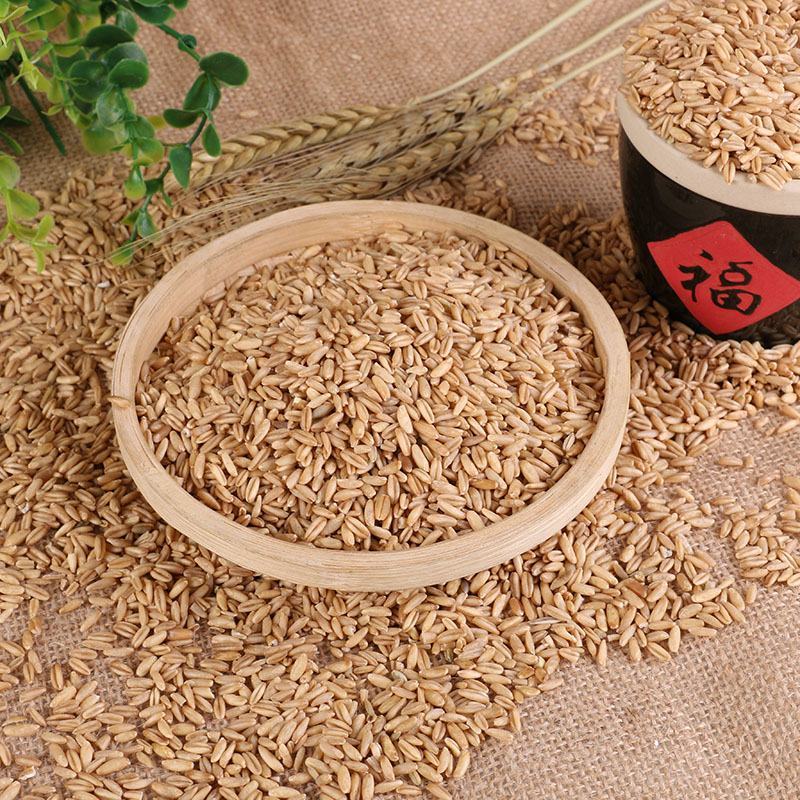 批发燕麦米燕麦仁农家脱皮胚芽米雀麦粒五谷杂粮裸燕麦野