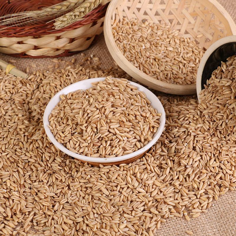 批发燕麦米燕麦仁农家脱皮胚芽米雀麦粒五谷杂粮裸燕麦野