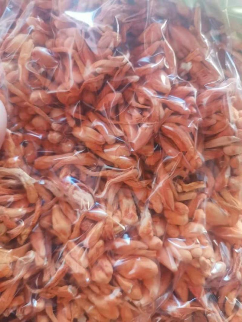 金虫草虫草花包邮中药材金虫草