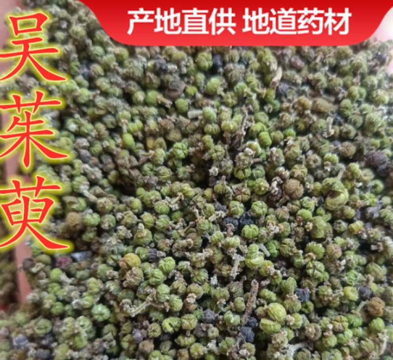 湖南吴茱萸产地直发品质保证诚信经营，欢迎老板下单