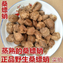 桑螵蛸地产直发一手货源品质保证欢迎老板下单