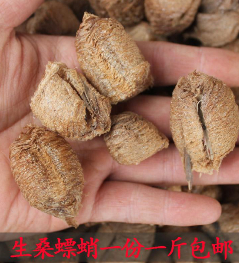 桑螵蛸地产直发一手货源品质保证欢迎老板下单