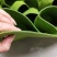 毛毡种植袋、挂式种植袋，型号齐全，现货发售