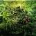 毛毡种植袋、挂式种植袋，型号齐全，现货发售