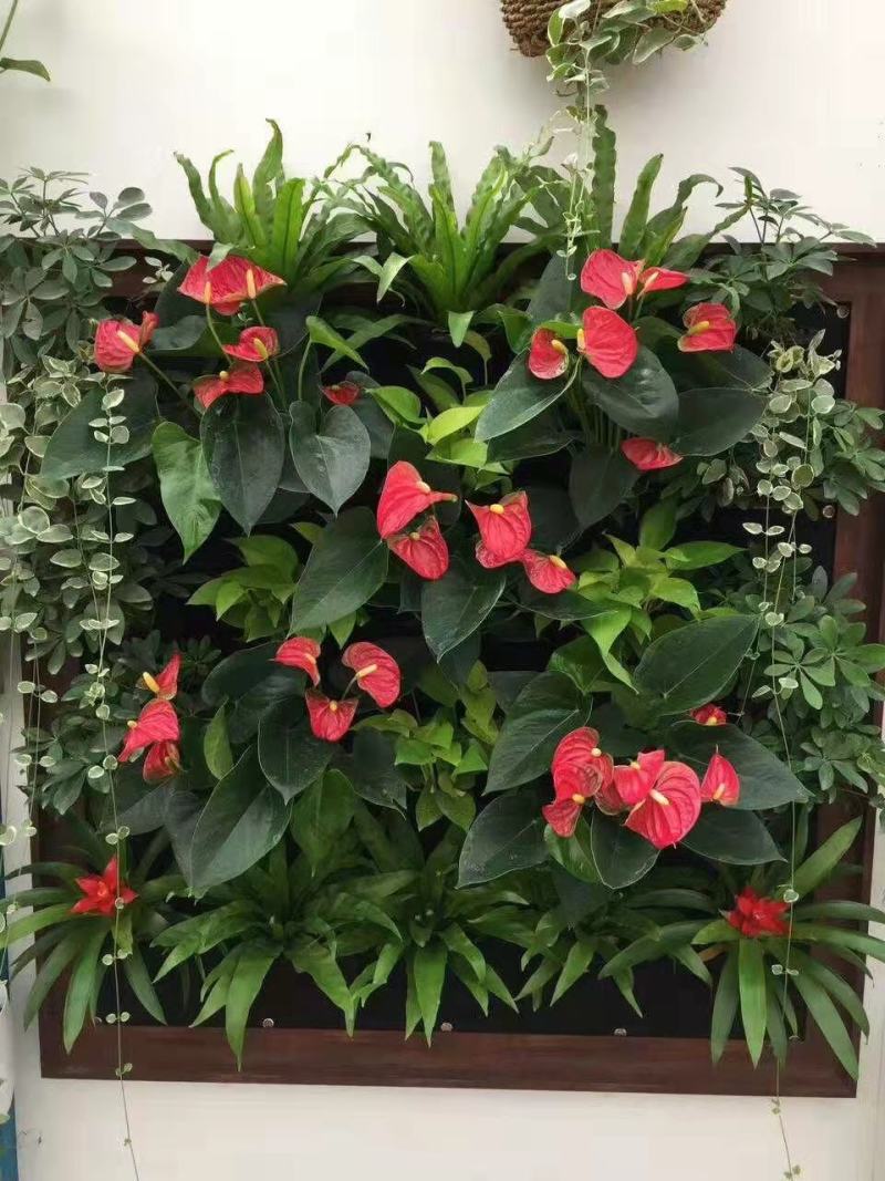 毛毡种植袋、挂式种植袋，型号齐全，现货发售