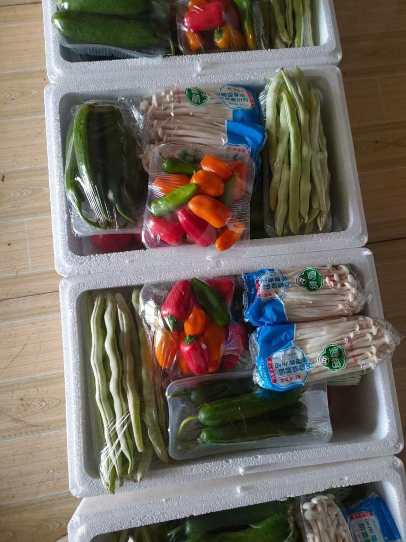 精品套菜大量现货供应