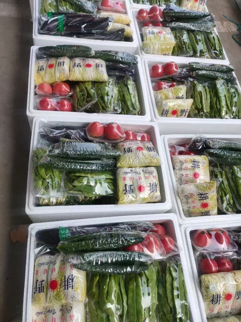 精品套菜大量现货供应