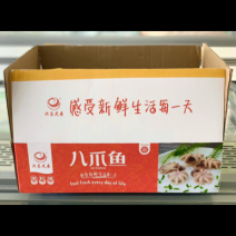 北海洪昌熟八爪鱼小章鱼