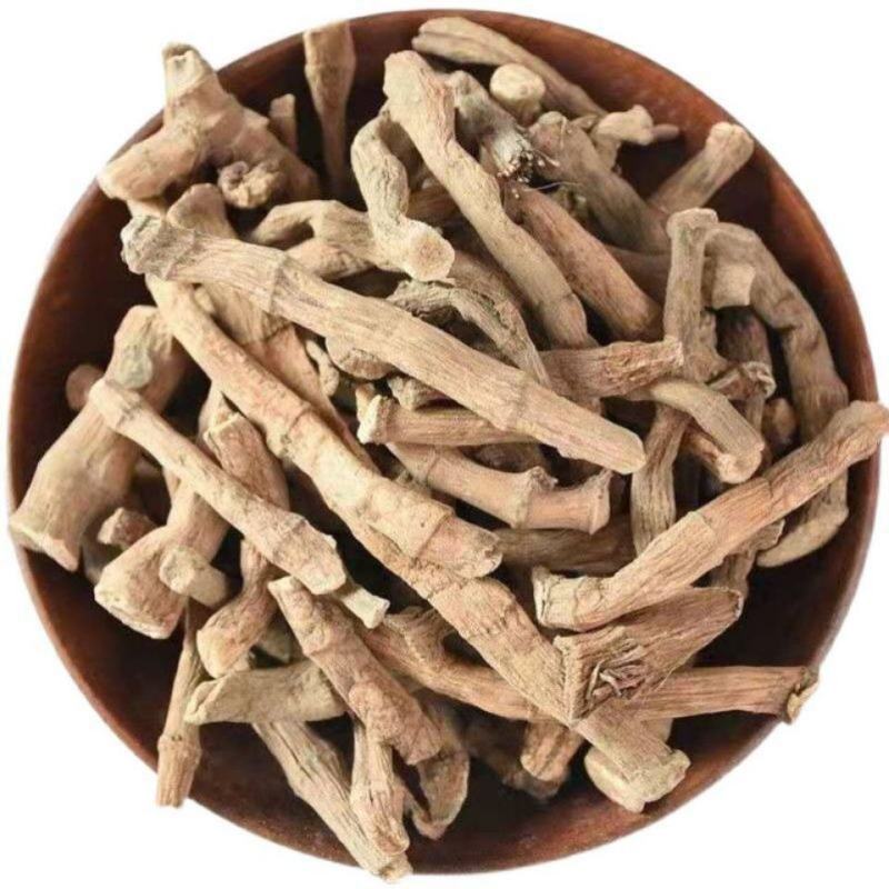 三白草根批发零售中药材品质保证