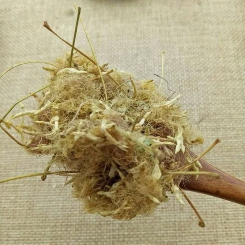 合欢花夜合花乌绒批发零售中药材品质保证