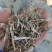 无地膜，除膜花生秧小草牛羊干草料供应中