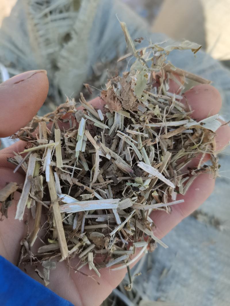 无地膜，除膜花生秧小草牛羊干草料供应中
