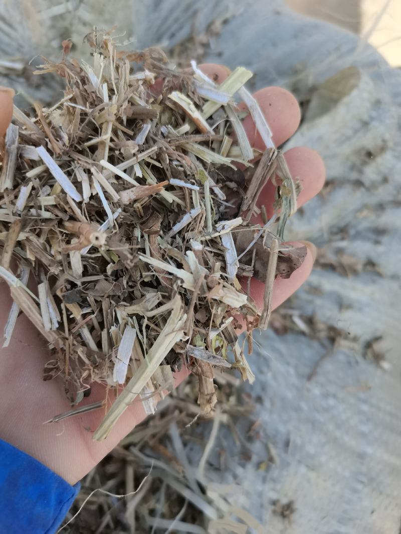 无地膜，除膜花生秧小草牛羊干草料供应中