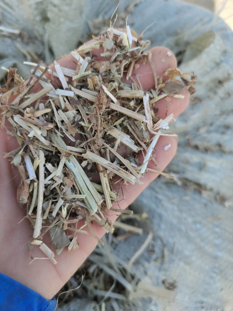 无地膜，除膜花生秧小草牛羊干草料供应中