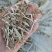 无地膜，除膜花生秧小草牛羊干草料供应中