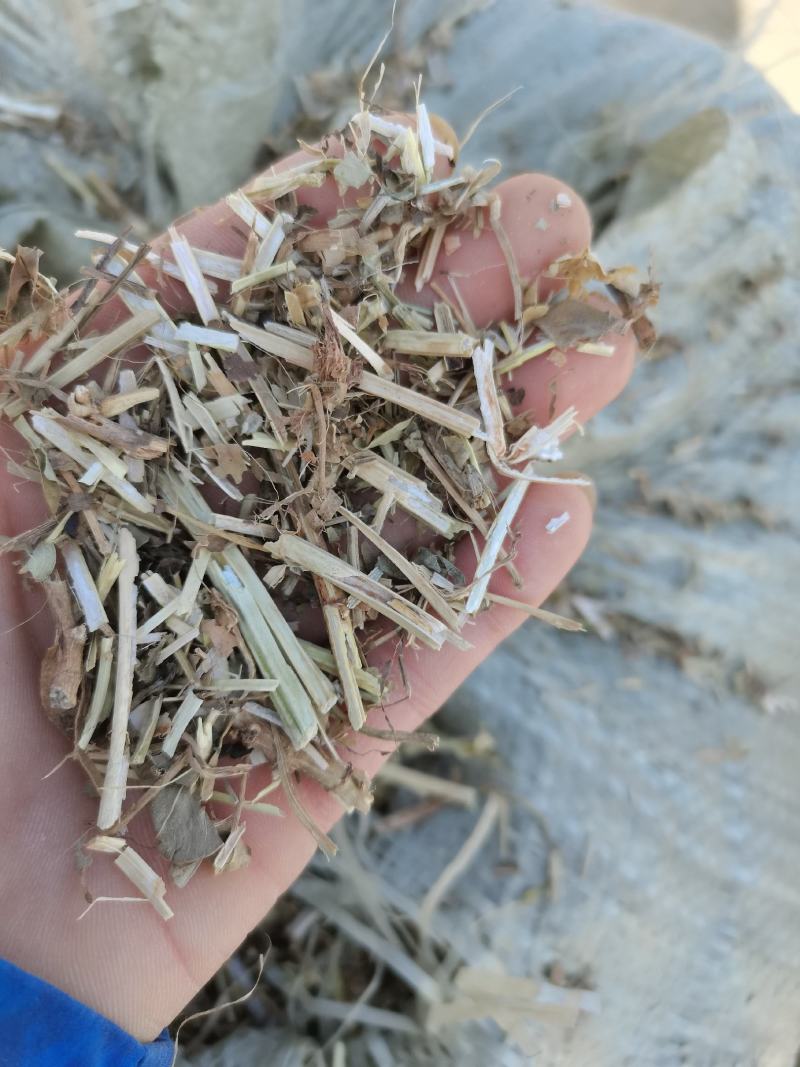 无地膜，除膜花生秧小草牛羊干草料供应中