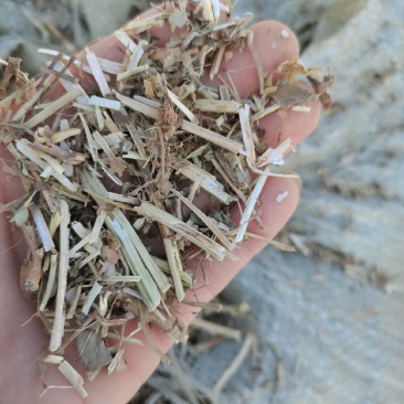 无地膜，除膜花生秧小草牛羊干草料供应中