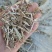 无地膜，除膜花生秧小草牛羊干草料供应中