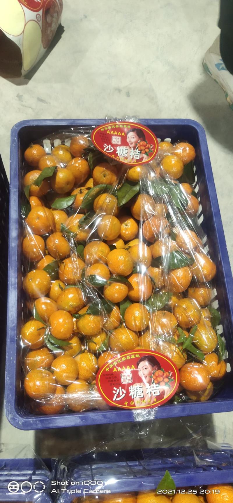 广西桂林沙糖桔，精品果，口感纯甜，皮细，
