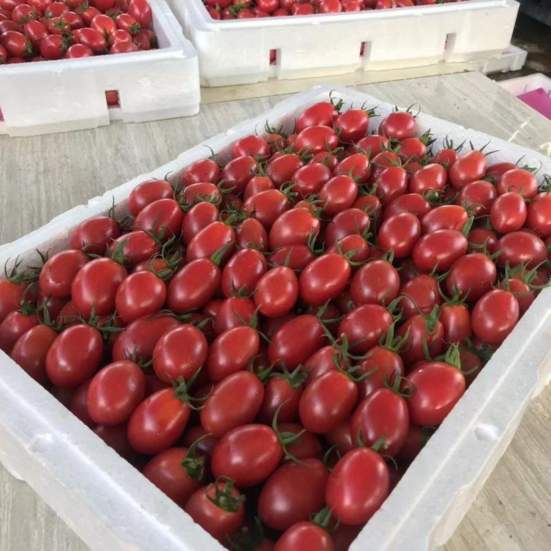 陵水千禧销量中