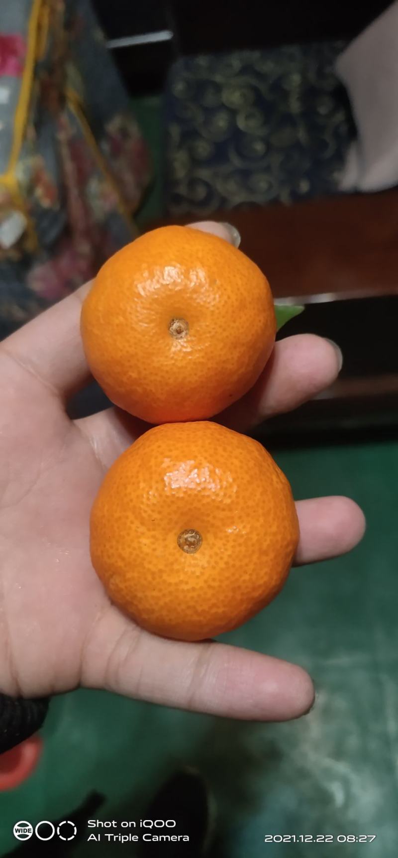 沙糖桔，高次果，口感纯甜，皮毛光滑，。。