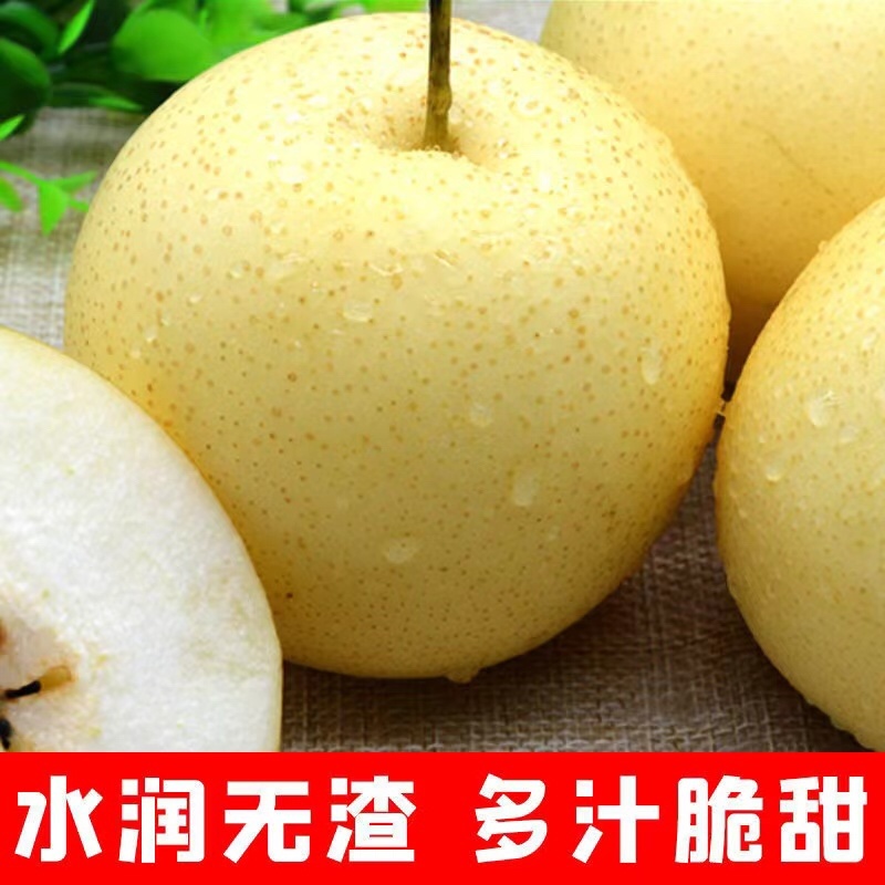 **贡梨【一件代发包邮】非砀山梨纯甜对接平台直播