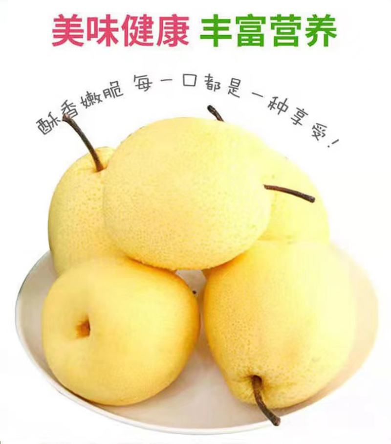 **贡梨【一件代发包邮】非砀山梨纯甜对接平台直播