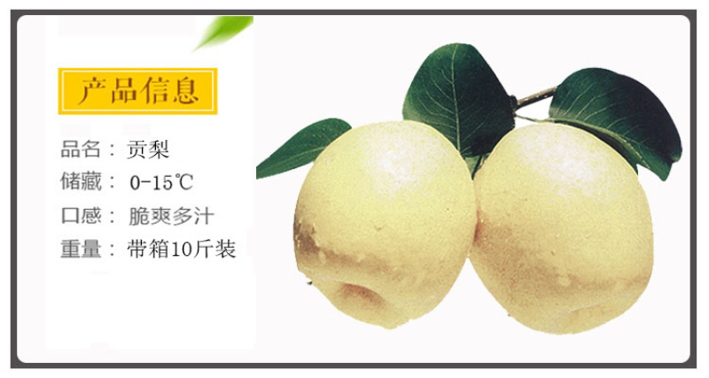 **贡梨【一件代发包邮】非砀山梨纯甜对接平台直播