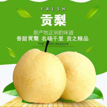 **贡梨【一件代发包邮】非砀山梨纯甜对接平台直播