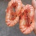 特大草虾鲜甜无比个头大肉质紧实有嚼劲