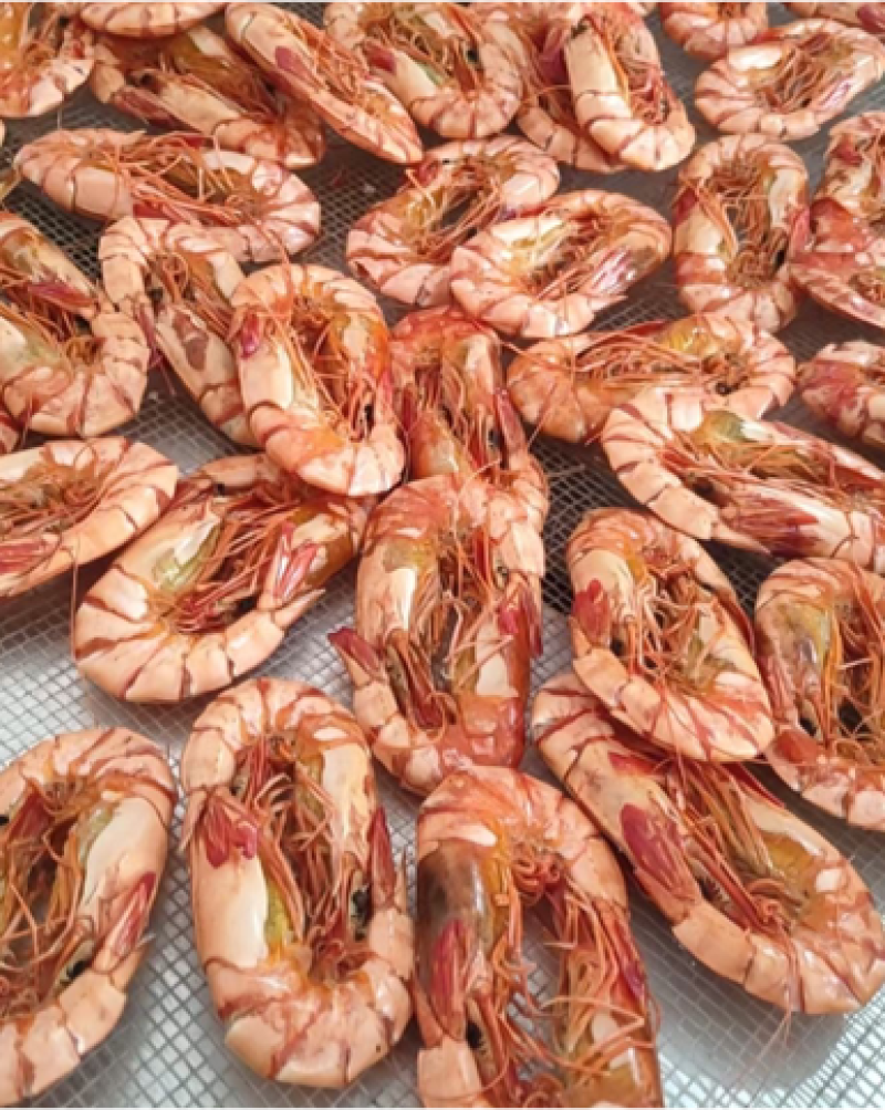 特大草虾鲜甜无比个头大肉质紧实有嚼劲