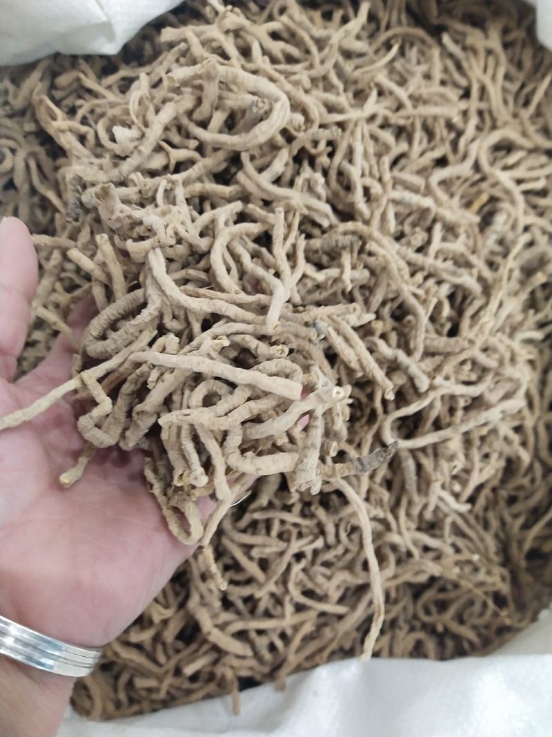 远志，远志筒，各种规格，大货供应。统货，选货