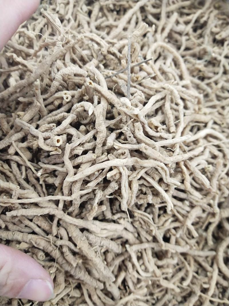 远志，远志筒，各种规格，大货供应。统货，选货