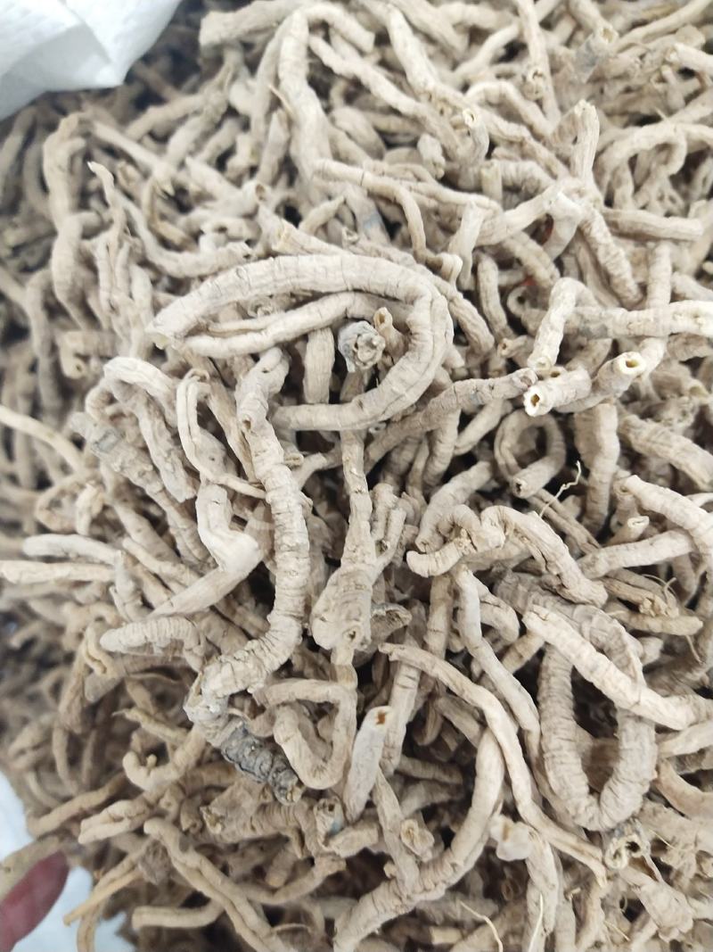 远志，远志筒，各种规格，大货供应。统货，选货